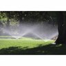 Pop-Up Sprinkler Narrow Strip
