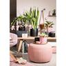 Indoor Solido Cup Pot Pink 15cm 136 x 149 x 149mm