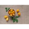 Tomato Golden Pear Drop