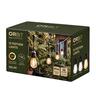 10 LED Solar Festoon Lights with CCT & Dimming