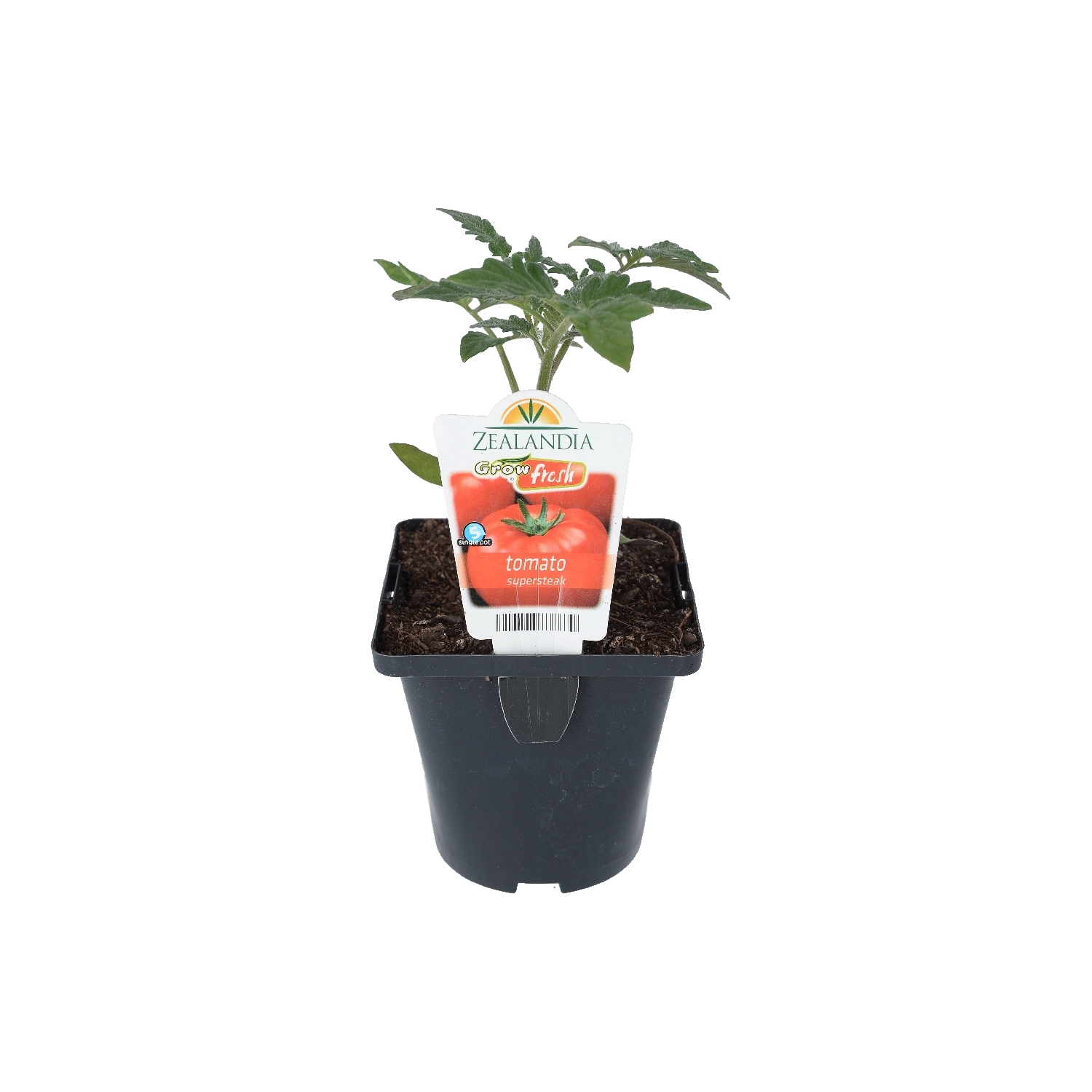 Tomato Supersteak