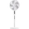 Pedestal Fan