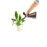 POT HYDROPONIC PLANTER