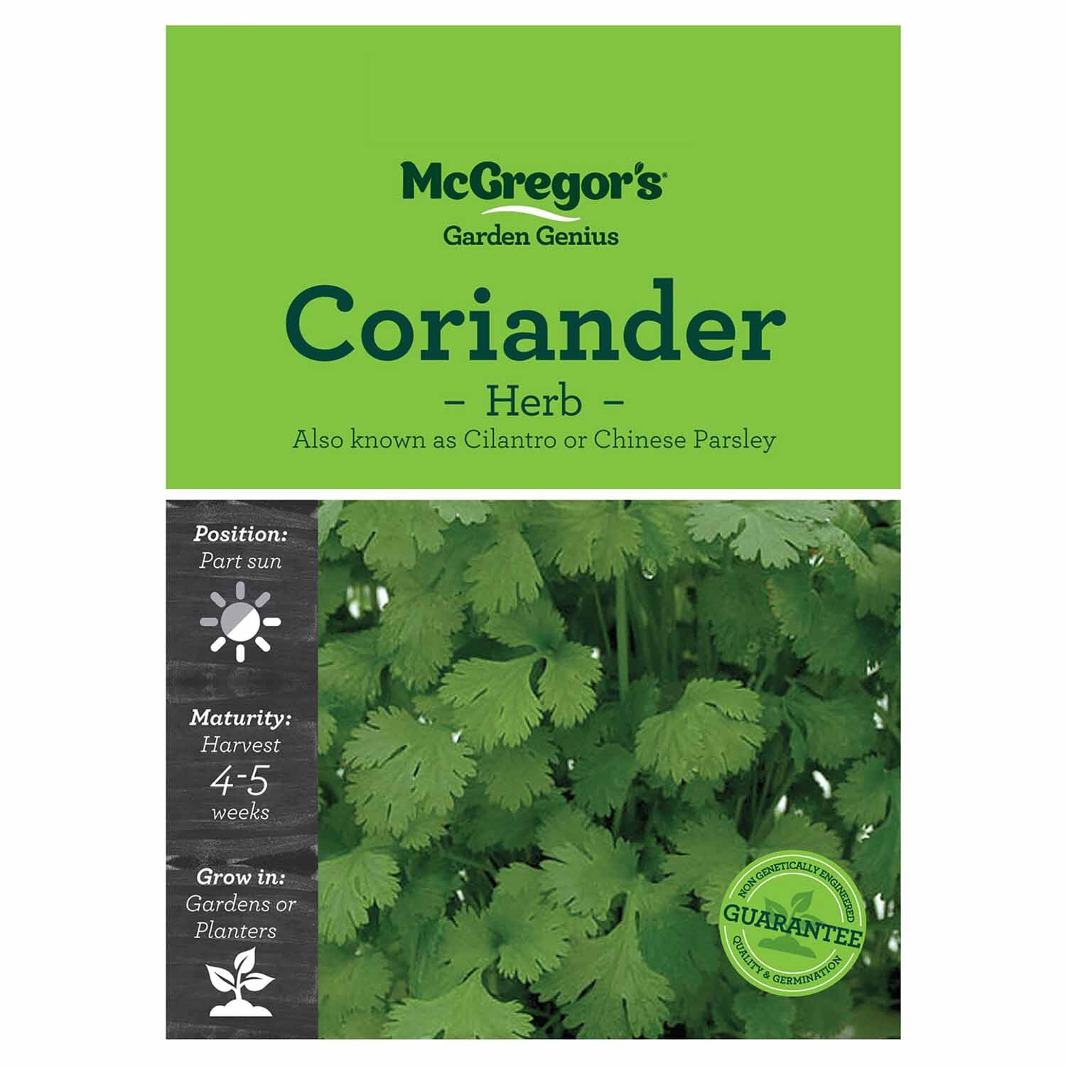 Coriander  Herb Seed