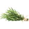 Rosemary Common