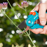 Bypass Secateurs Soft Grip