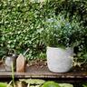 Lightweight Rib Egg Pot Ivory M