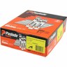 Collated Nails Value Pack with Fuel Cells