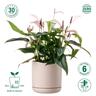 Recycled Plastic Cleo Pot 19cm Sandy Pink  Sandy Pink