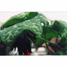 Podophyllum Kaleidoscope
