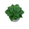 Artificial Succulent Plant in Pot