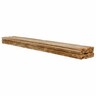 Radiata SG8 H1.2 Timber 150 x 50mm