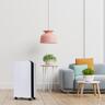 Dehumidifier
