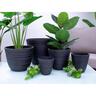 Indoor Vase Pot