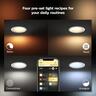 Hue White Ambiance Garnea Downlight 7 Watt White Ambiance