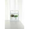 TERRARIUM GLASS GREENHOUSE METAL
