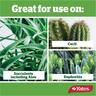 Cacti & Succulent Fertiliser Spikes