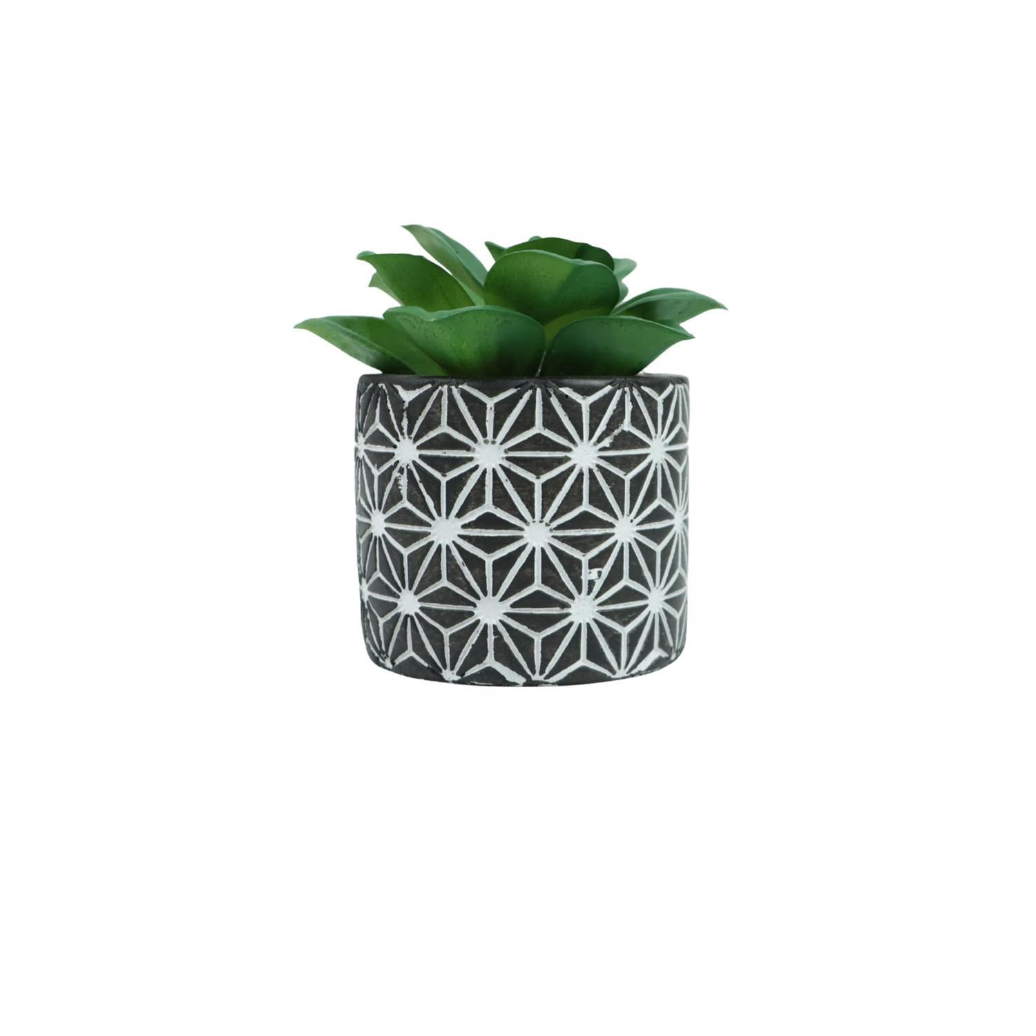 Artificial Succulent Plant in Pot