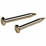 Linoleum Nail