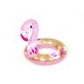 Shimmer n' Float Swim Ring