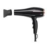 2000W Hair Dryer