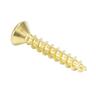 Hinge Screws