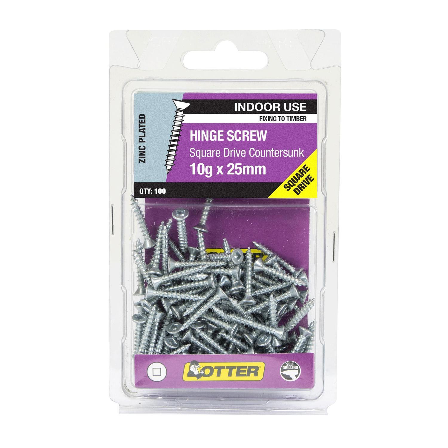 Hinge Screws