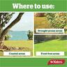 Yates Lawn Seed Kikuyu 1kg