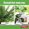 Plant & Fern Spikes