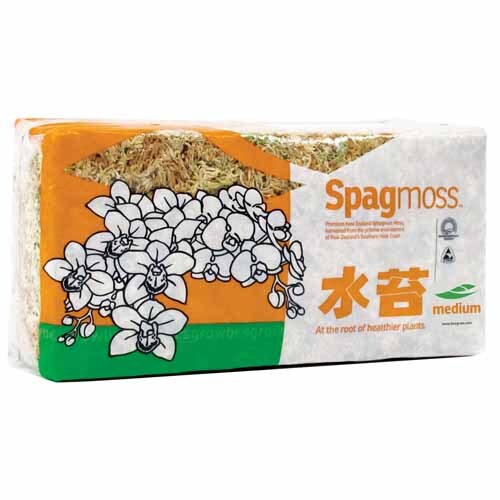 Spagmoss Medium