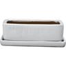 Glazed Bonsai Rectangle Pot Small White
