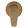 Round Shower Mixer  Brushed Gold