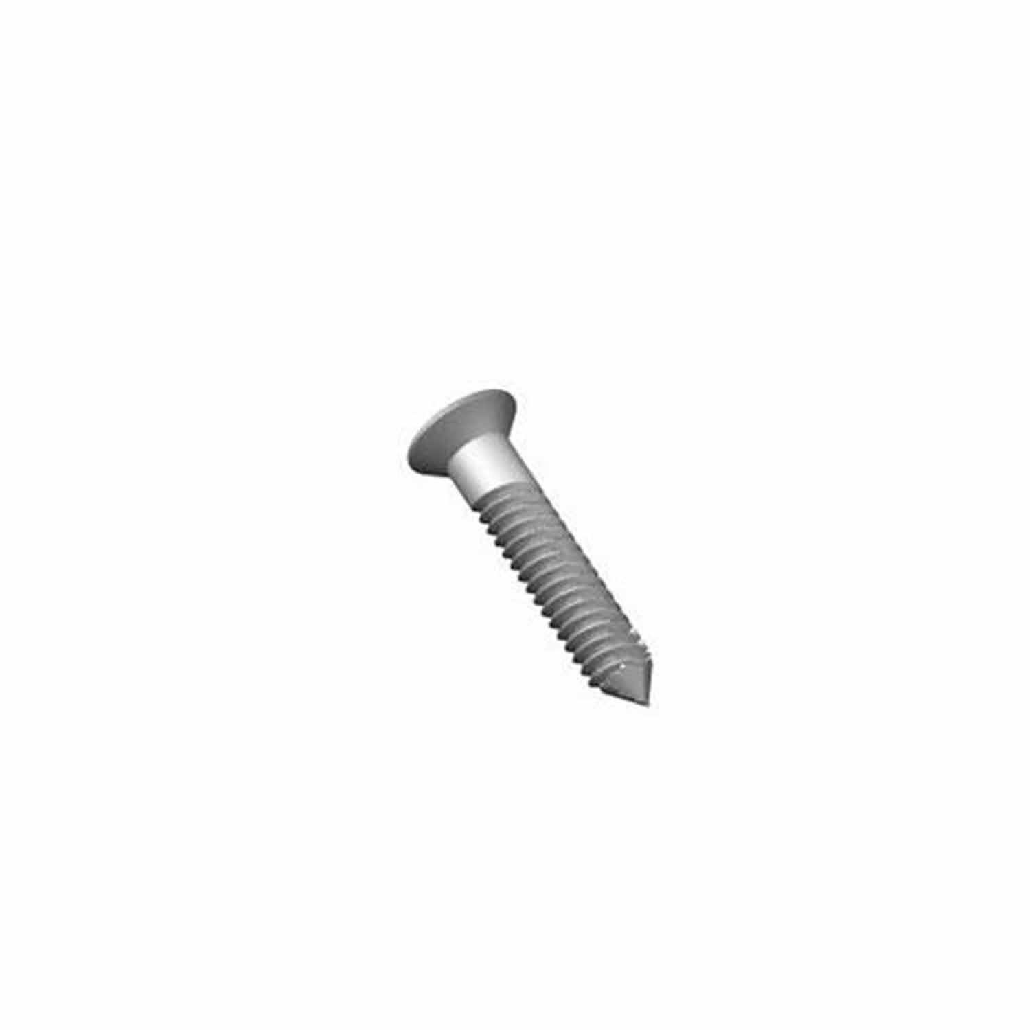 Securistay Screws