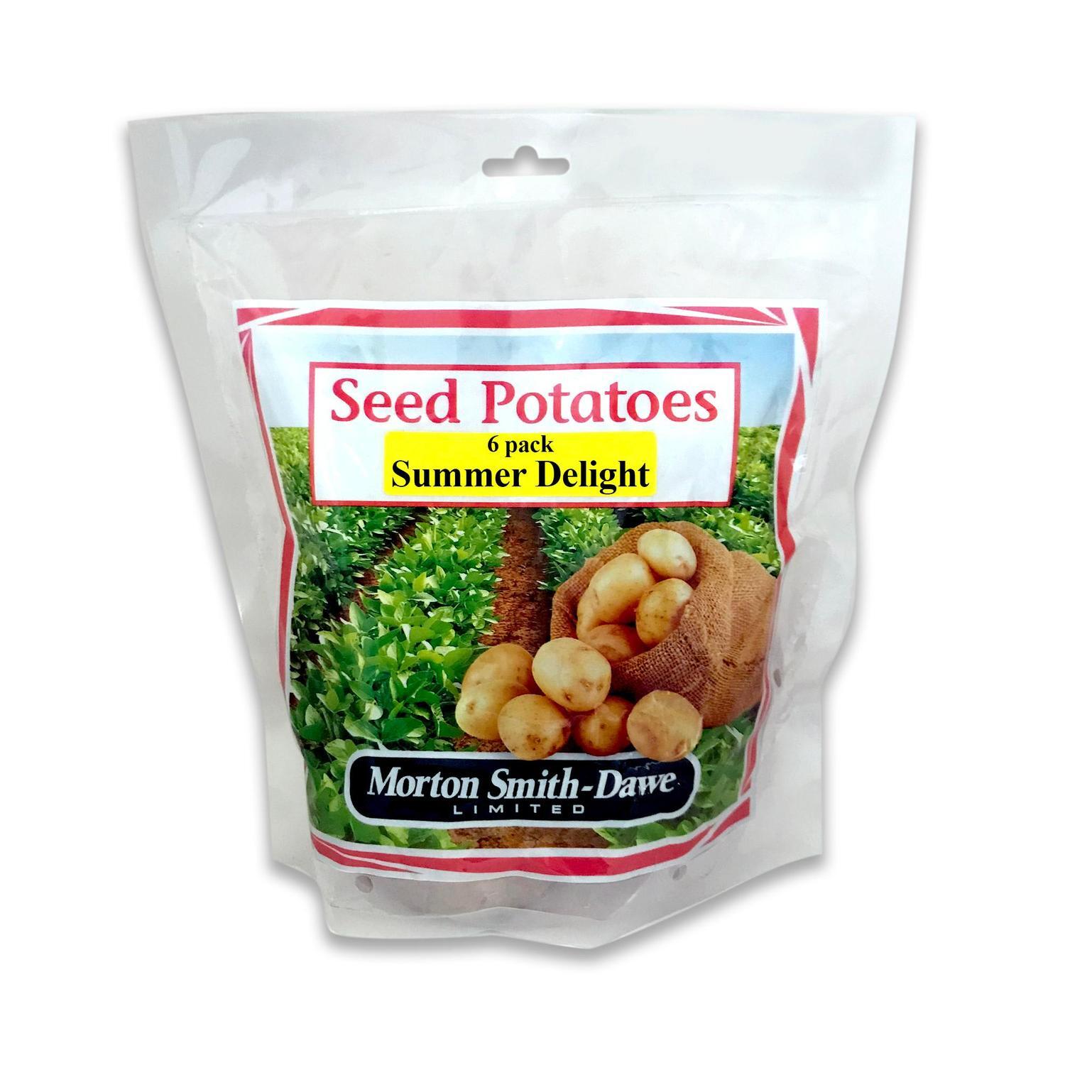 Seed Potatoes Summer Delight 6 Pack