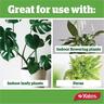 Indoor Potting Mix