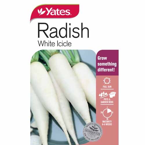 Radish White icicle