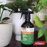 Indoor Natural Fertiliser Spray