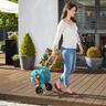Hose Trolley Set CleverRoll S
