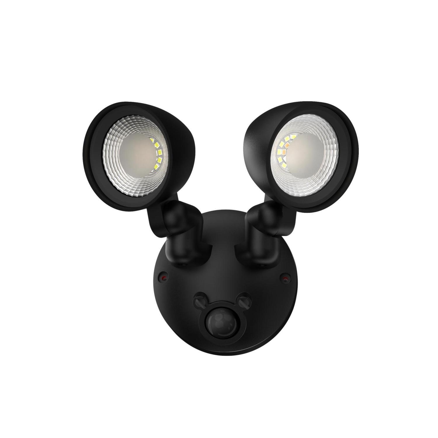 Security Light Black
