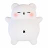 Silicone Night Light Snoozy Bear