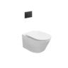 Wall Hung Inwall Toilet Suite White, Black