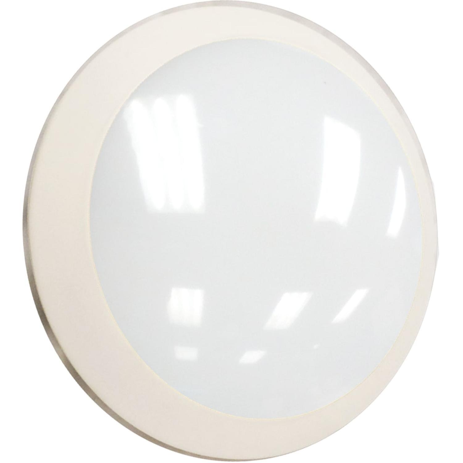 Oyster LED
