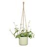 Indoor Hanging Cottage Cup Pot Light Green 14.5cm 128 x 142 x 142mm