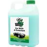 Car Wash & Protectant