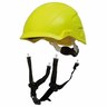 Chinstrap
