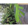 Boden Paver Charcoal H:600mm, W:300mm, D:30mm