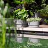 Plastic Trough with Saucer Grey 70cm