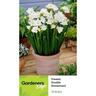 Freesia Double White Snowchant 10 pack