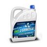 BIO 2T Marine Outboard Oil TC-W3 4 litre blue