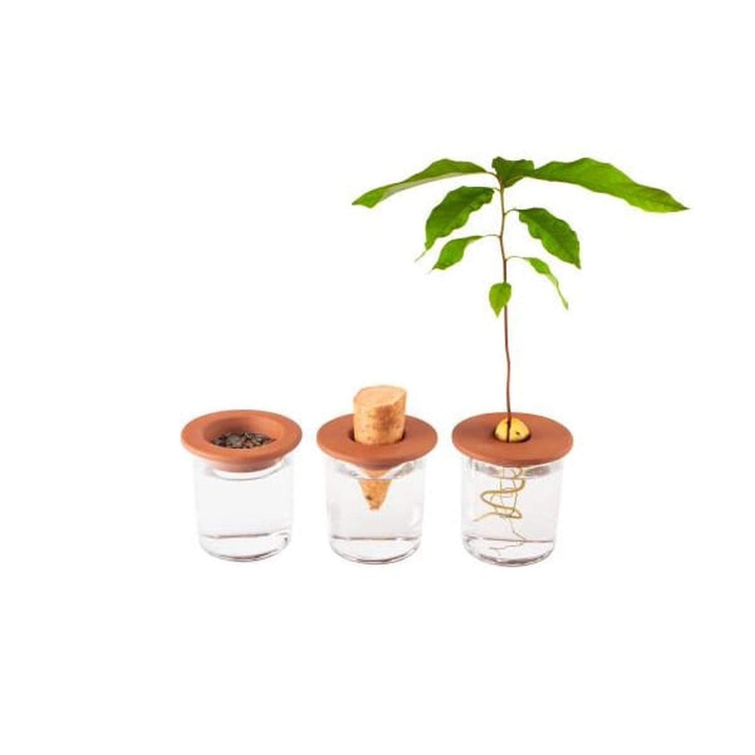 Seed Propagation KitT